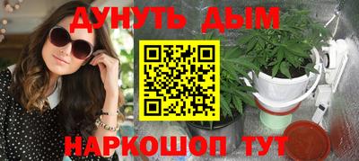 шишки Бийск