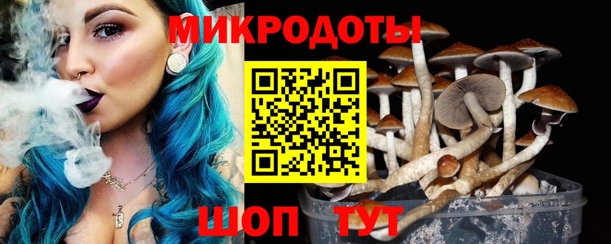 Галлюциногенные грибы Magic Shrooms  Вход с VPN  Кашира 
