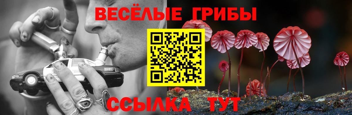 Галлюциногенные грибы MAGIC MUSHROOMS Кашира